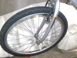 Sepeda Polygon Monarch